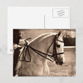 Carte Postale Dressage Grunge (Devant / Derrière)