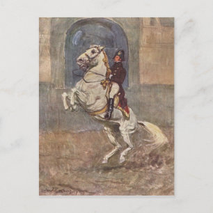 Carte Postale Dressage Show Horse