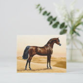 Carte Postale Dressage Show Horse (Debout devant)