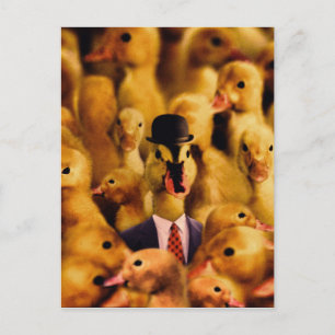 Carte Postale Dressed For Success Duck