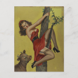 CARTE POSTALE DRIBEN PINUP