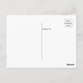 Carte Postale Driftwood Beach Jekyll Island Géorgie (Dos)