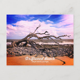 Carte Postale Driftwood Beach Jekyll Island Géorgie