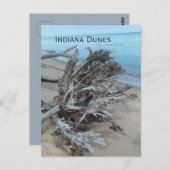 Carte Postale Driftwood Indiana Dunes National Park Magnet (Devant / Derrière)