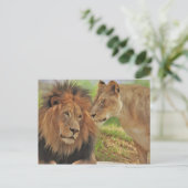 Carte Postale droit (Debout devant)