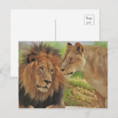 Carte Postale droit (Devant / Derrière)