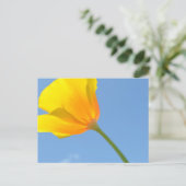 Carte Postale Droit d'attraction (Debout devant)