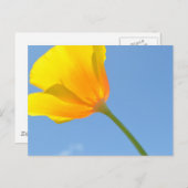 Carte Postale Droit d'attraction (Devant / Derrière)