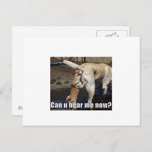 Carte Postale drôle (Devant / Derrière)