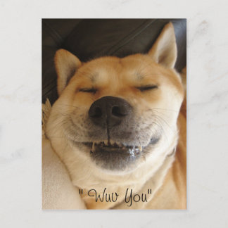 Carte Postale drôle akita japonaise type avec joli sourire amour