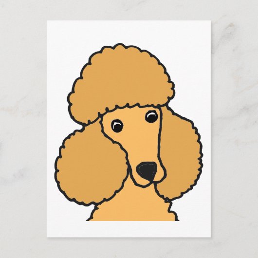 Carte Postale Drôle Apricot Poodle Chien Caricature (Devant)