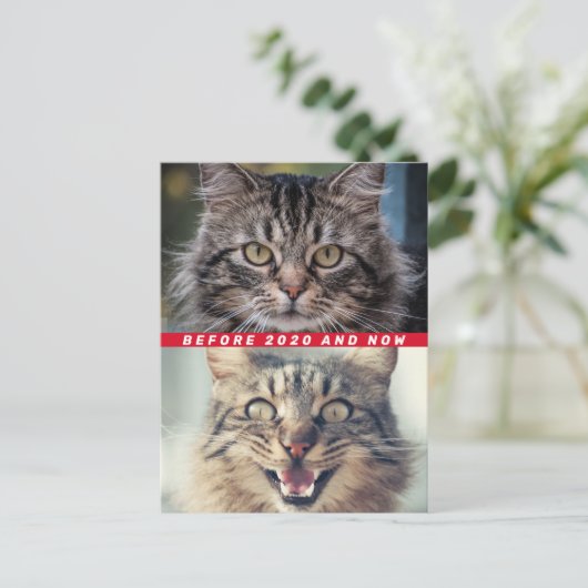 Carte Postale Drôle Avant Et Après 2020 Chat Comment Faites-Vous (Debout devant)
