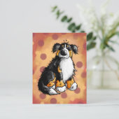 Carte postale Drôle Bernese Mountain Dog (Debout devant)