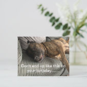 Carte postale drôle Bull Mastiff (Debout devant)