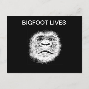Carte Postale Drôle Cadeaux Bigfoot