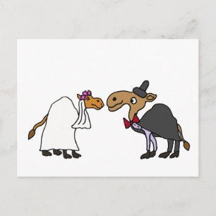 Carte Postale Drôle Camel Bride et Groom Mariage Dessin