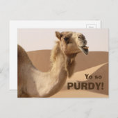 Carte Postale Drôle Camel Purdy Photo (Devant / Derrière)