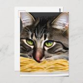 Carte Postale Drôle chat mangeant Spaghetti (Devant / Derrière)