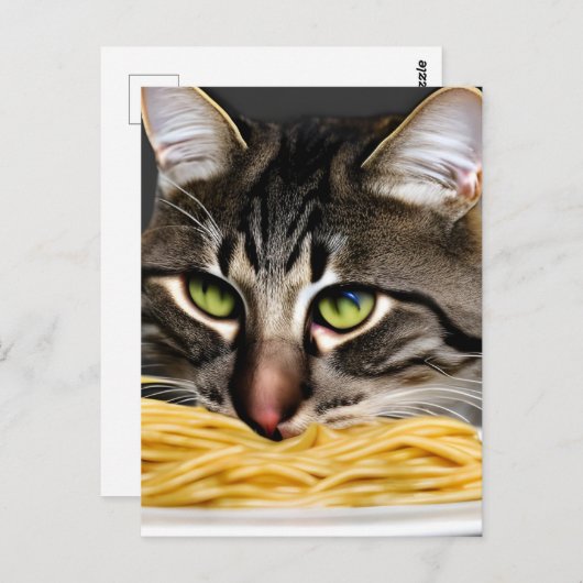 Carte Postale Drôle chat mangeant Spaghetti (Devant / Derrière)