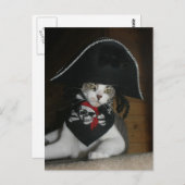Carte Postale Drôle chat pirate (Devant / Derrière)
