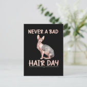 Carte Postale Drôle Chat sans cheveux Sphynx Humour cheveux (Debout devant)