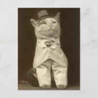 Drôle Chat Vintage portant costume et chapeau supé