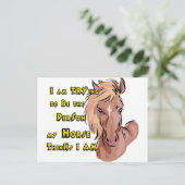 Carte Postale Drôle Cheval (Debout devant)