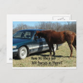 Carte Postale Drôle Cheval "300 Cheval" (Devant / Derrière)