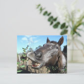 Carte Postale Drôle Cheval brun visage (Debout devant)