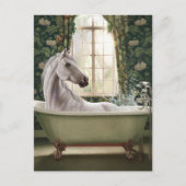 Carte Postale Drôle Cheval dans une baignoire (Devant)