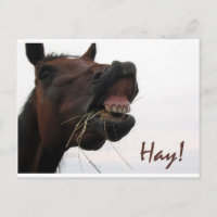 Drôle Cheval : Hay !