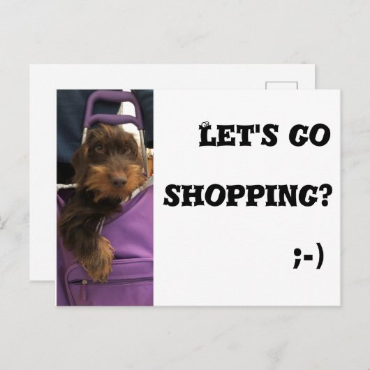 Carte Postale Drôle chien allons faire les courses (Devant / Derrière)