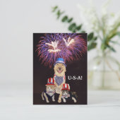 Carte Postale Drôle Chien/Chat 4 juillet (Debout devant)