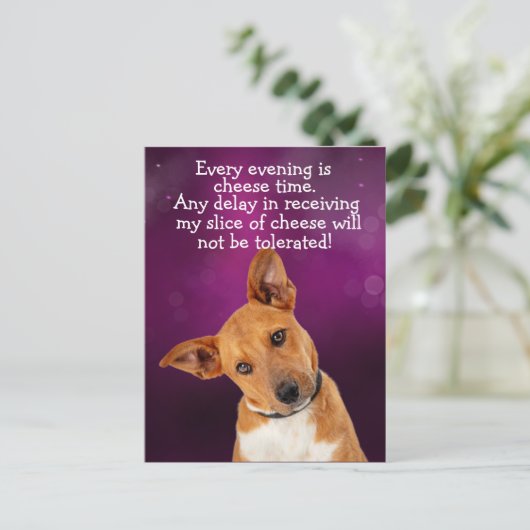 Carte Postale Drôle chien pensée (Debout devant)