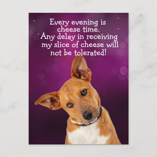 Carte Postale Drôle chien pensée (Devant)