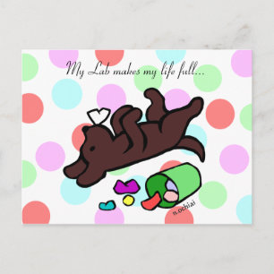 Carte Postale Drôle Chocolat Labrador Cartoon Polka Point