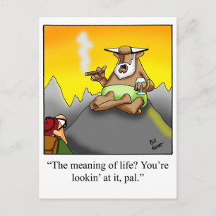 Carte Postale Drôle Cigar Wise Man Cartoon Cadeaux!