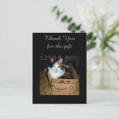 Carte postale drôle de chat calico dans une boîte (Debout devant)