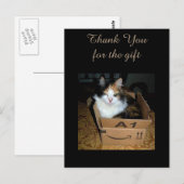 Carte postale drôle de chat calico dans une boîte (Devant / Derrière)