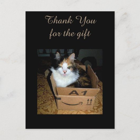 Carte postale drôle de chat calico dans une boîte (Devant)