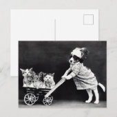 Carte postale drôle de chiot et de chatons | Resta (Devant / Derrière)