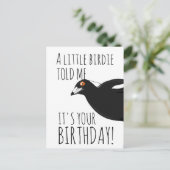 Carte postale drôle de pie australienne (Debout devant)