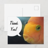 Carte Postale Drôle de poisson à cache-cache Merci (Devant / Derrière)
