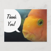Carte Postale Drôle de poisson à cache-cache Merci (Devant)