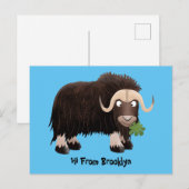 Carte Postale Drôle dessin animé de boeuf musqué (Devant / Derrière)