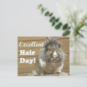 Carte Postale Drôle "Excellent Hair Day" pour lapin. (Debout devant)
