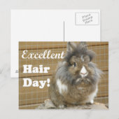 Carte Postale Drôle "Excellent Hair Day" pour lapin. (Devant / Derrière)