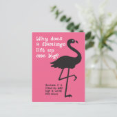 Carte Postale Drôle Flamant rose Riddle (Debout devant)