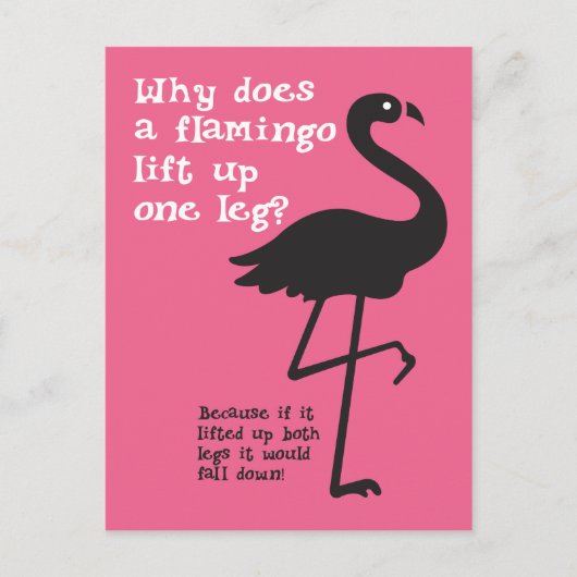 Carte Postale Drôle Flamant rose Riddle (Devant)