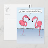 Carte Postale Drôle Flamants roses Roses Dessin Dessin Dessin Qu (Devant / Derrière)